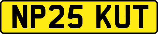 NP25KUT