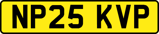 NP25KVP