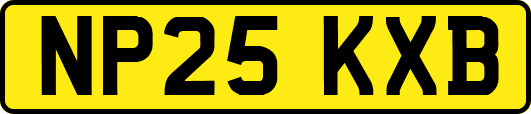 NP25KXB