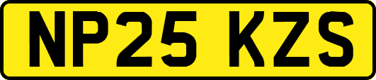 NP25KZS