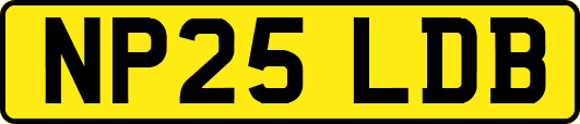 NP25LDB