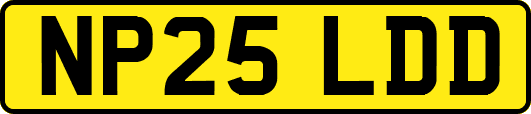 NP25LDD