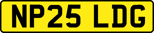 NP25LDG