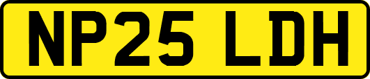 NP25LDH