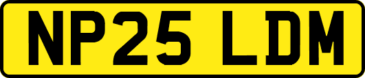 NP25LDM