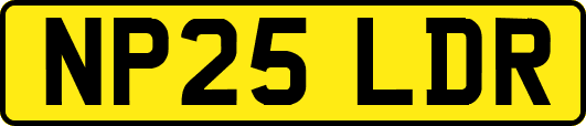 NP25LDR