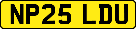 NP25LDU