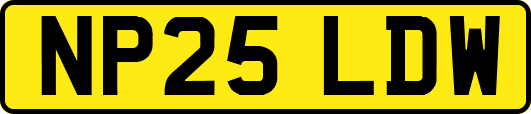 NP25LDW