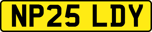 NP25LDY