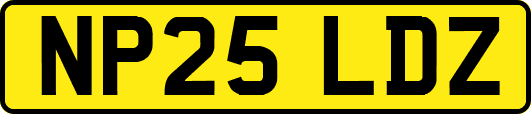 NP25LDZ