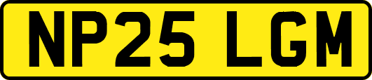NP25LGM