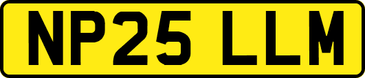 NP25LLM