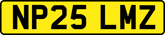 NP25LMZ