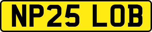NP25LOB
