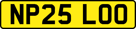 NP25LOO