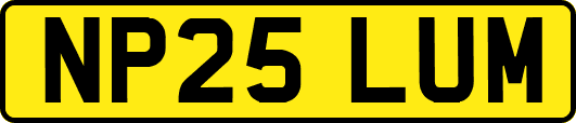 NP25LUM