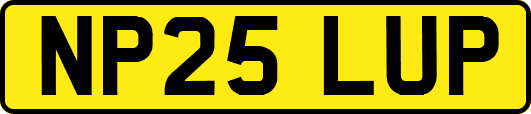 NP25LUP