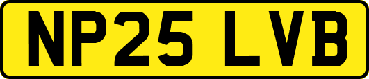 NP25LVB