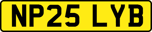 NP25LYB