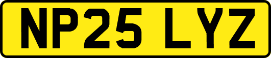 NP25LYZ