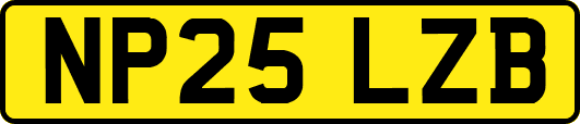 NP25LZB