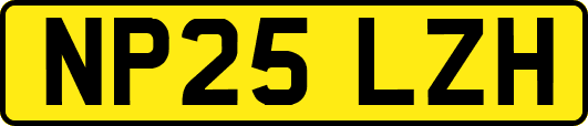 NP25LZH