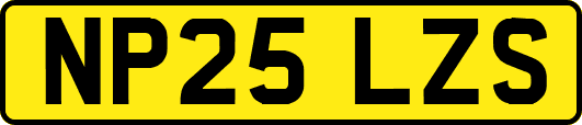 NP25LZS