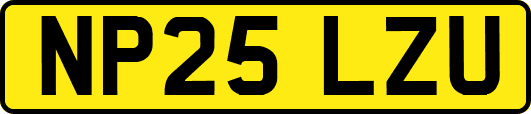 NP25LZU