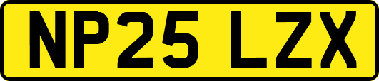 NP25LZX
