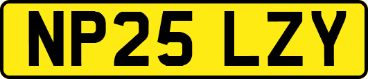 NP25LZY