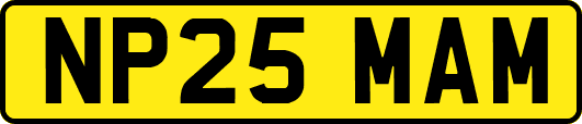NP25MAM