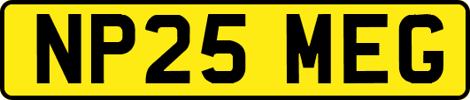 NP25MEG