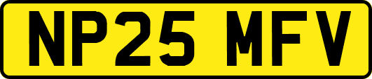 NP25MFV