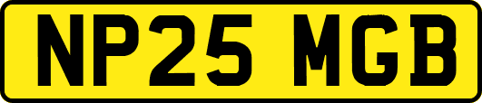 NP25MGB
