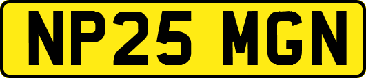 NP25MGN