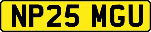NP25MGU