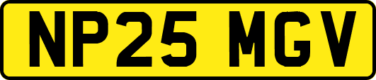 NP25MGV