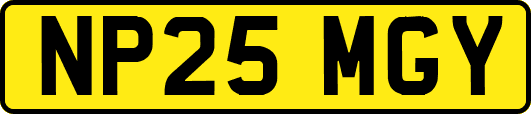 NP25MGY