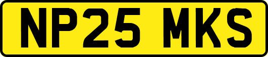 NP25MKS