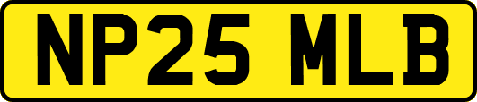 NP25MLB