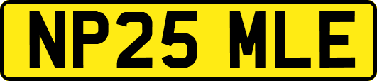 NP25MLE