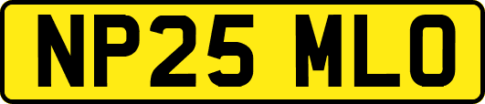 NP25MLO