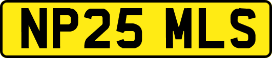 NP25MLS