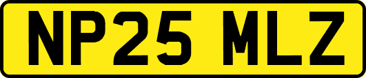 NP25MLZ