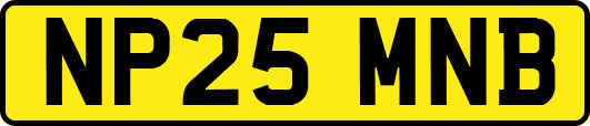 NP25MNB