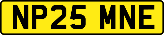 NP25MNE