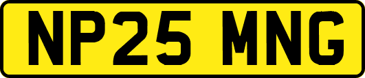 NP25MNG