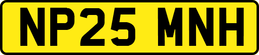 NP25MNH