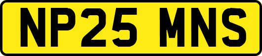NP25MNS