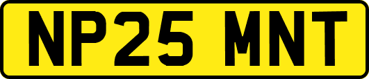 NP25MNT